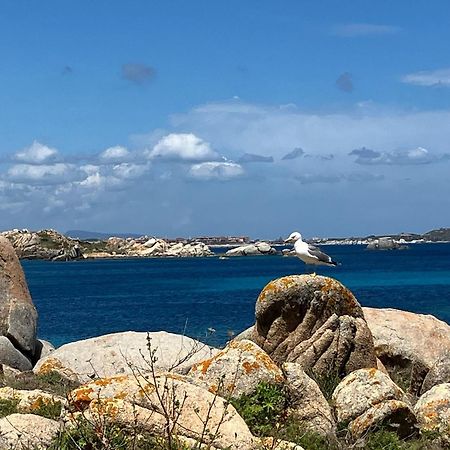Maison Non Fumeur - Jardin 5 Personnes Proche Des Plages Finisteriennes Guipavas エクステリア 写真