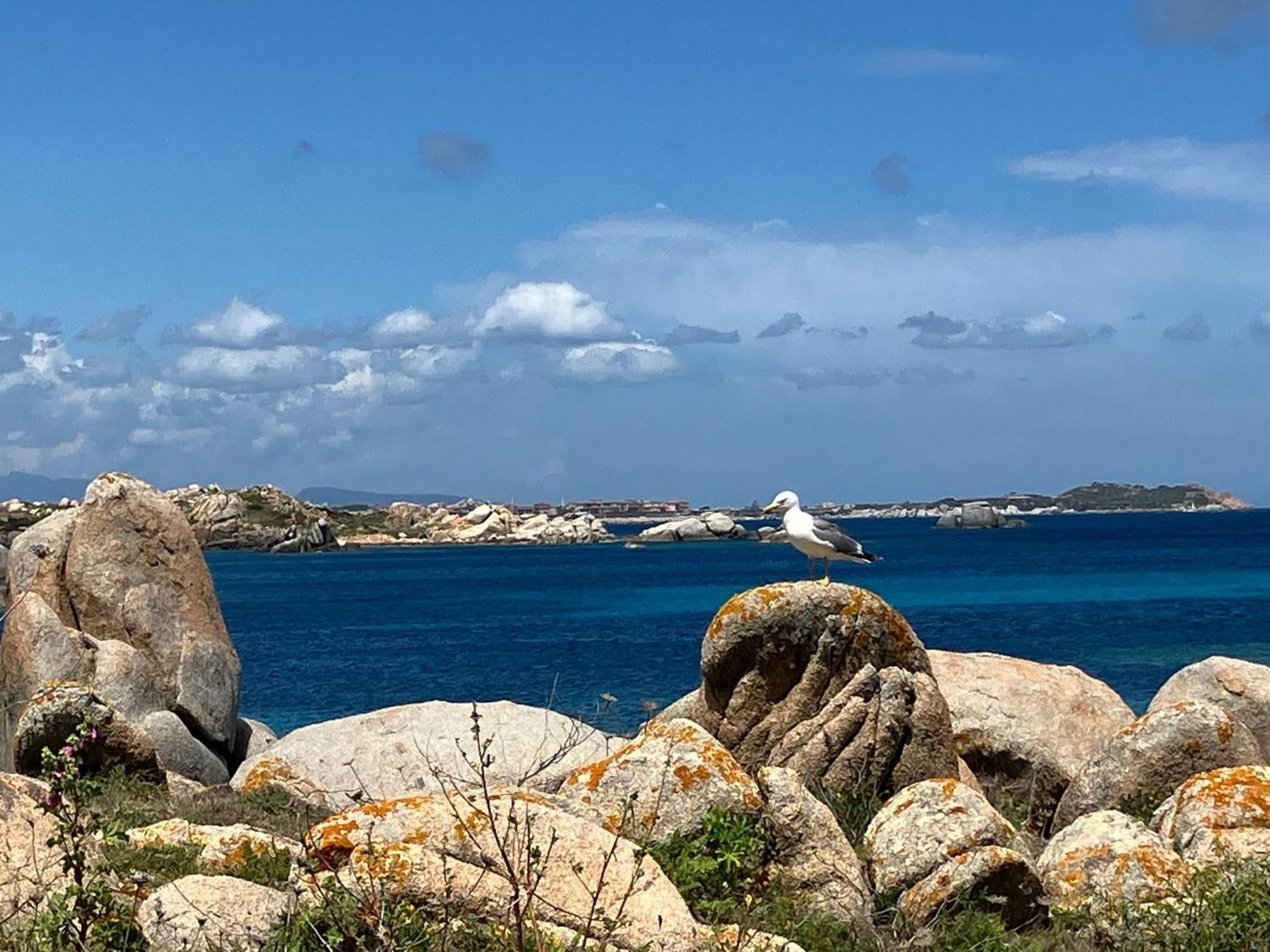 Maison Non Fumeur - Jardin 5 Personnes Proche Des Plages Finisteriennes Guipavas エクステリア 写真